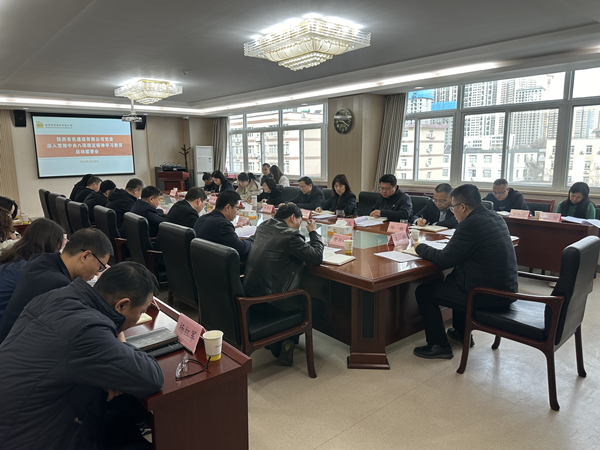 公司黨委召開深入貫徹中央八項規定精神學習教育啟動部署會